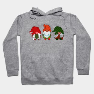 Holiday Gnomes Hoodie